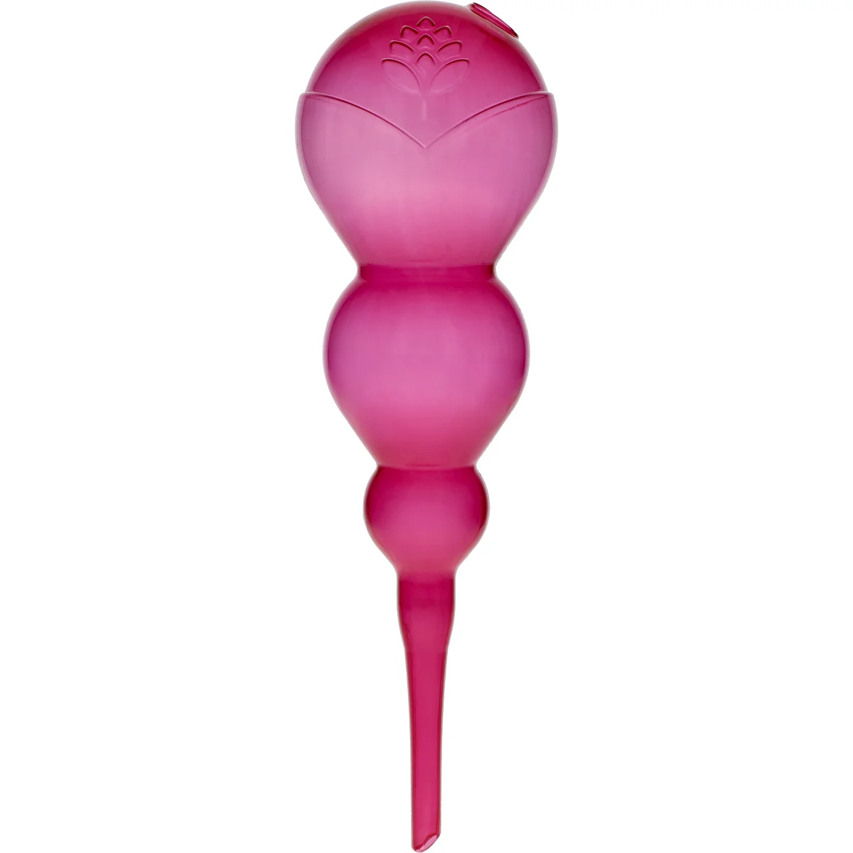 Triple Watering Globe (Three-Chamber), Transparent Pink, 600 ml