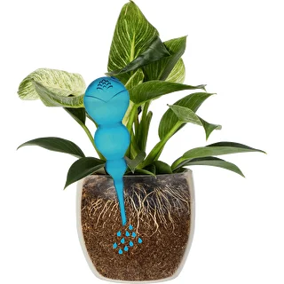 Triple Watering Globe (Three-Chamber), Transparent Blue, 600 ml – photo 3