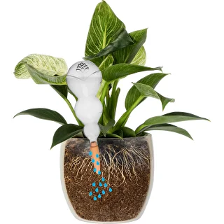 Triple Watering Globe (Three-Chamber), Transparent and Clear, with Ceramic Spike, 600 ml – photo 3