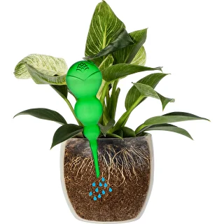 Triple Watering Globe (Three-Chamber), Transparent Green, 600 ml – photo 3