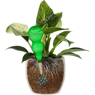 Triple Watering Globe (Three-Chamber), Transparent Green with Ceramic Spike, 600 ml – photo 3