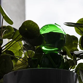 Triple Watering Globe (Three-Chamber), Transparent Green with Ceramic Spike, 600 ml – photo 7