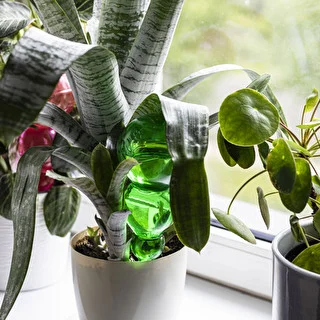 Triple Watering Globe (Three-Chamber), Transparent Green with Ceramic Spike, 600 ml – photo 8