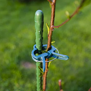 Clips for fastening plants, 20 pcs (8 pcs - Ø11 mm, 12 pcs - Ø8 mm) – photo 9