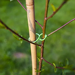 Plastic plant clips 50 pcs. – photo 6