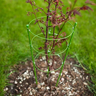 Garden plant support rings, 3 rings 1,5m – photo 3