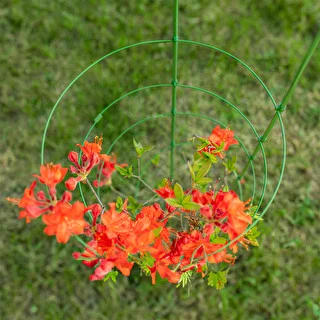 Garden plant support rings , 4 rings 1m – photo 4