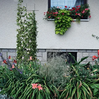 Plant Support - Garden Trellis 150 x 45 cm 3 pcs – photo 4