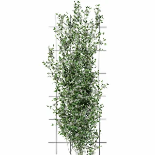 Plant Support - Garden Trellis 150 x 60 cm 3 pcs – photo 3