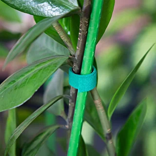 Garden Velcro Plant Tie Tape, Light Green, 15 mm x 5 m – photo 4