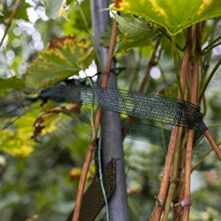 PE tape for plant tying, 3 cm x 50 m – photo 4