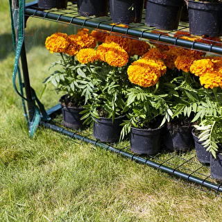 Mini greenhouse with 2 shelves 69x49x95cm – photo 5