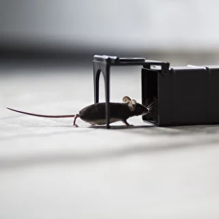 Mouse Trap - Humane Live Catch Trap – photo 9