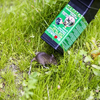 Mouse Trap - Humane Live Catch Trap – photo 10