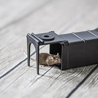 Mouse Trap - Humane Live Catch Trap – photo 8
