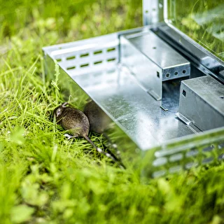 Humane metal mouse trap – photo 10