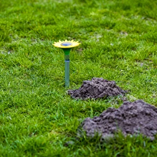 Mole repellent powered with a solar battery – photo 6