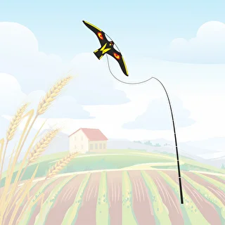 Bird repeller - kite – photo 4
