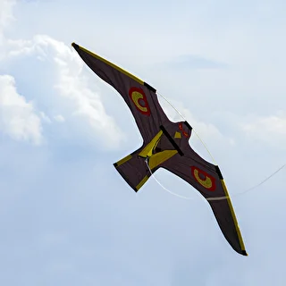 Bird repeller - kite – photo 2