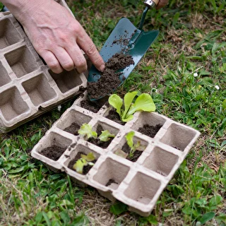 Paper seedling pots 4,5x5x4,5 cm, 30 pcs. – photo 7