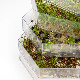 Niezłe ziółko- multi tier seed sprouter – photo 5