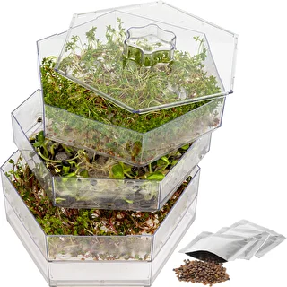 Niezłe ziółko- multi tier seed sprouter – photo 4