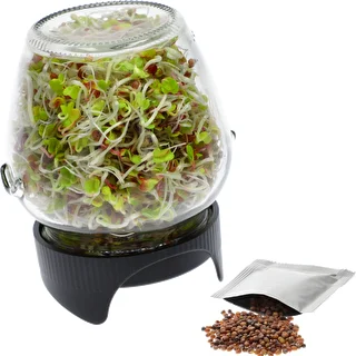 Sprouting jar glass +  radish seeds – photo 2