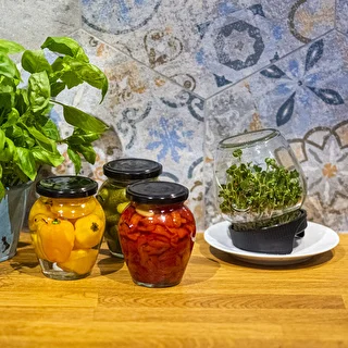Twist-off sprouter for jars + 5 packs of seeds – photo 14