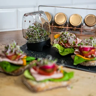 Twist-off sprouter for jars + 5 packs of seeds – photo 11