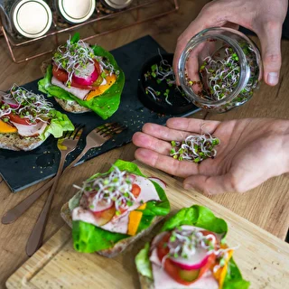 Sprouting jar glass +  radish seeds – photo 12
