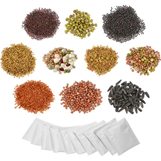 Set of seeds for sprouting - 10 packs – photo 1