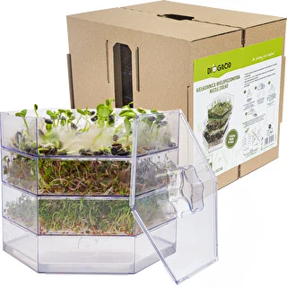 Multi tier seed sprouter + radish seeds – photo 20