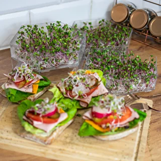 Multi-tier sprouter - a kit with 10 packs of seeds – photo 18
