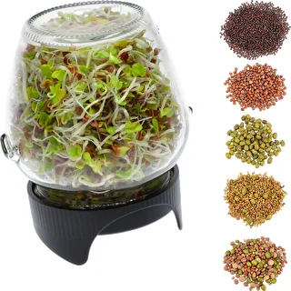 Twist-off sprouter for jars + 5 packs of seeds – photo 2