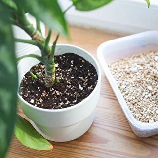 Vermiculite for Potted Plants and Gardening, 2 L – photo 8