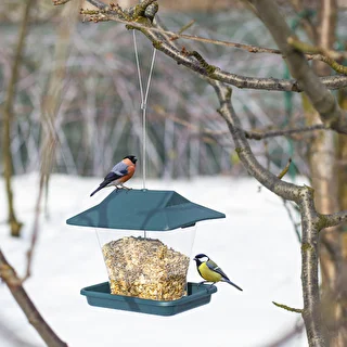 Plastic bird feeder - 19,5x14,5x18 cm, green – photo 9