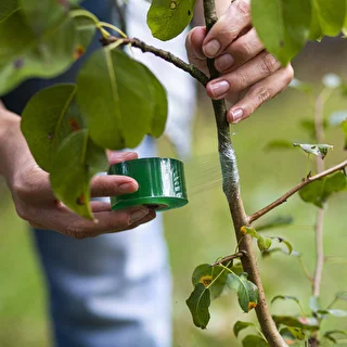 Grafting shears with tape – photo 7