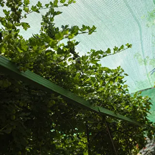 Garden shade net / cloth , 60% shade , 1x10m – photo 2