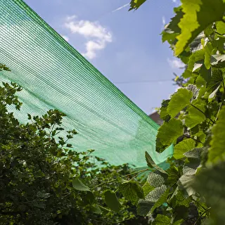Garden shade net / cloth , 60% shade , 1x10m – photo 5