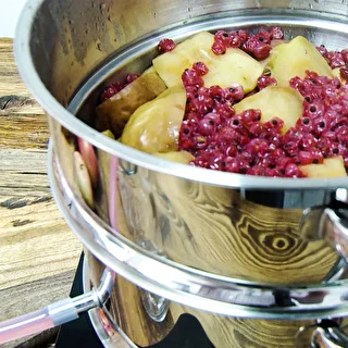 5 L Stainless Steel Steam Juicer – photo 17