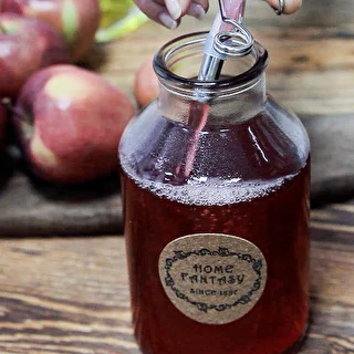 8 L Stainless Steel Steam Juicer – photo 17