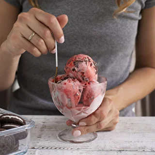Ice cream and sorbet maker – photo 11