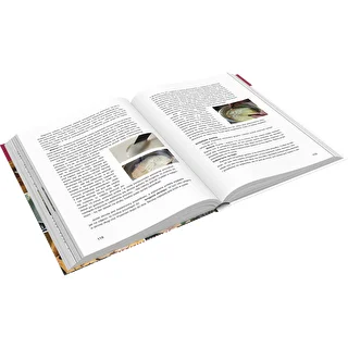Book "Ham Cooker - Master of Culinary Possibilities, Recipes" (book in Polish)" – photo 3