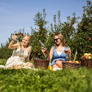 Cider making starter kit 20 L – photo 16