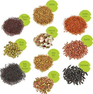 Set of seeds for sprouting - 10 packs – photo 3