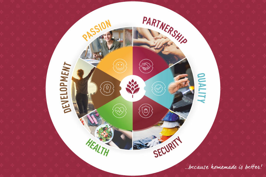 Browin - mission, vision, values