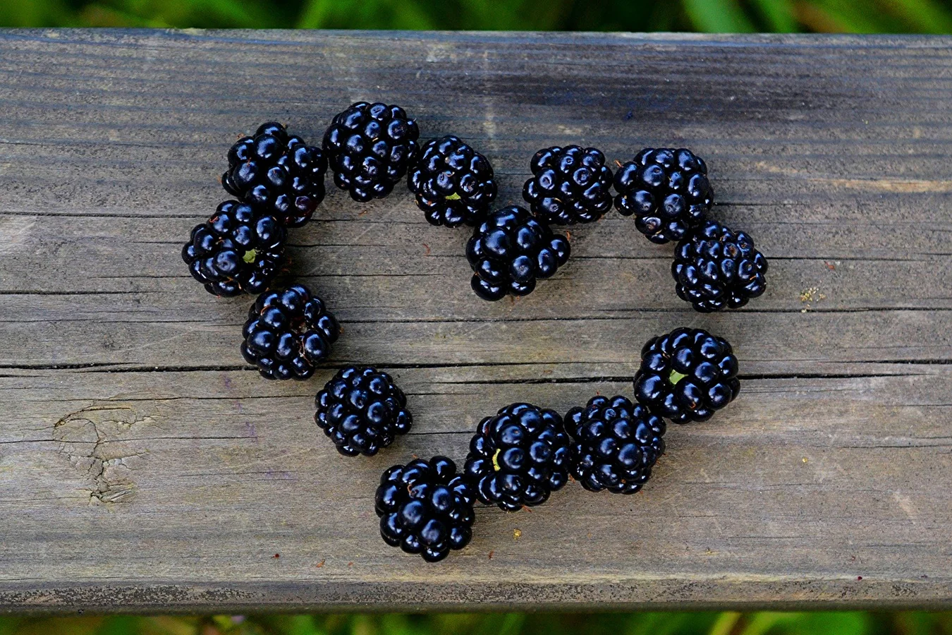 Homemade blackberry liqueur