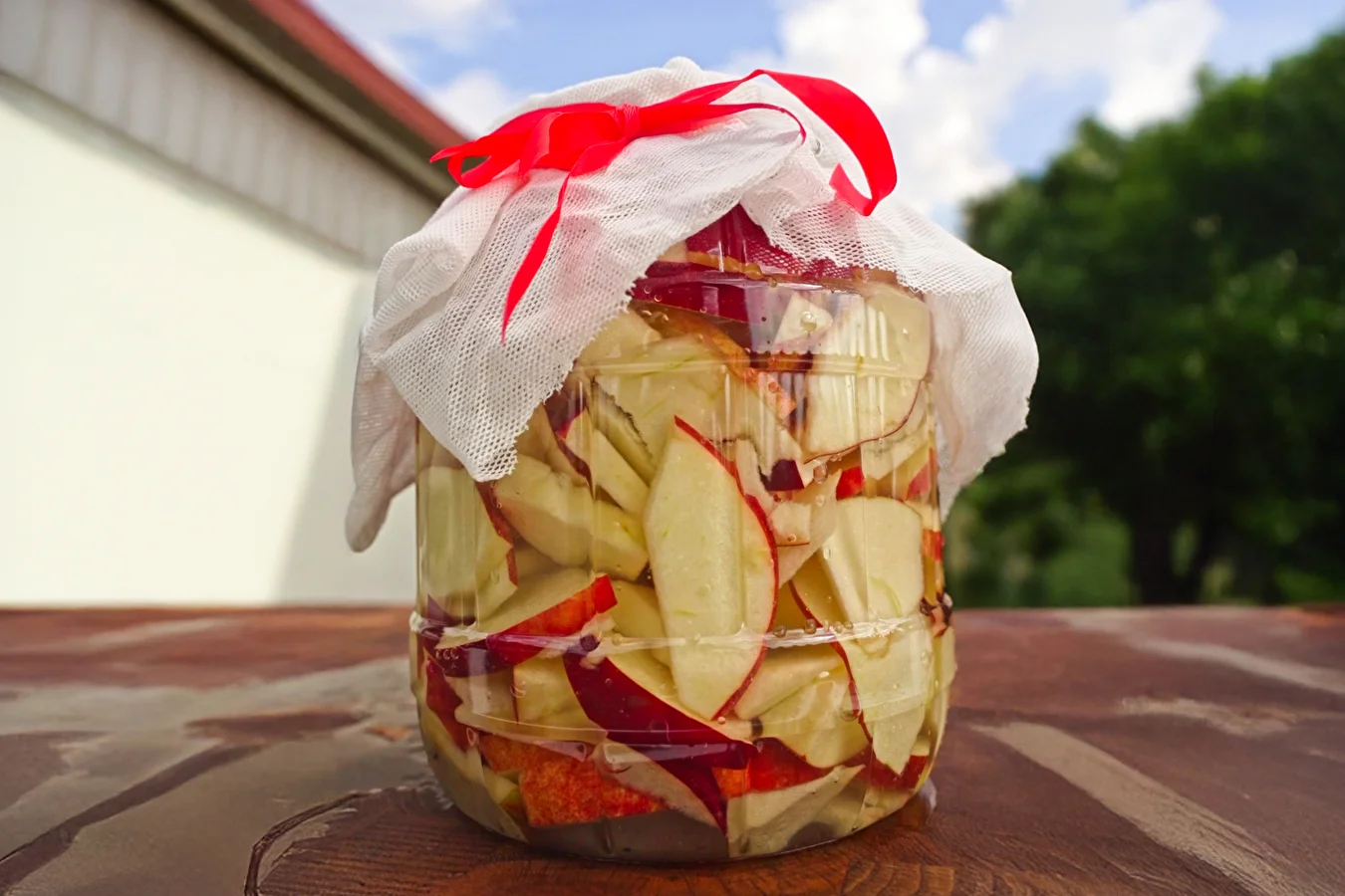 Apple cider vinegar