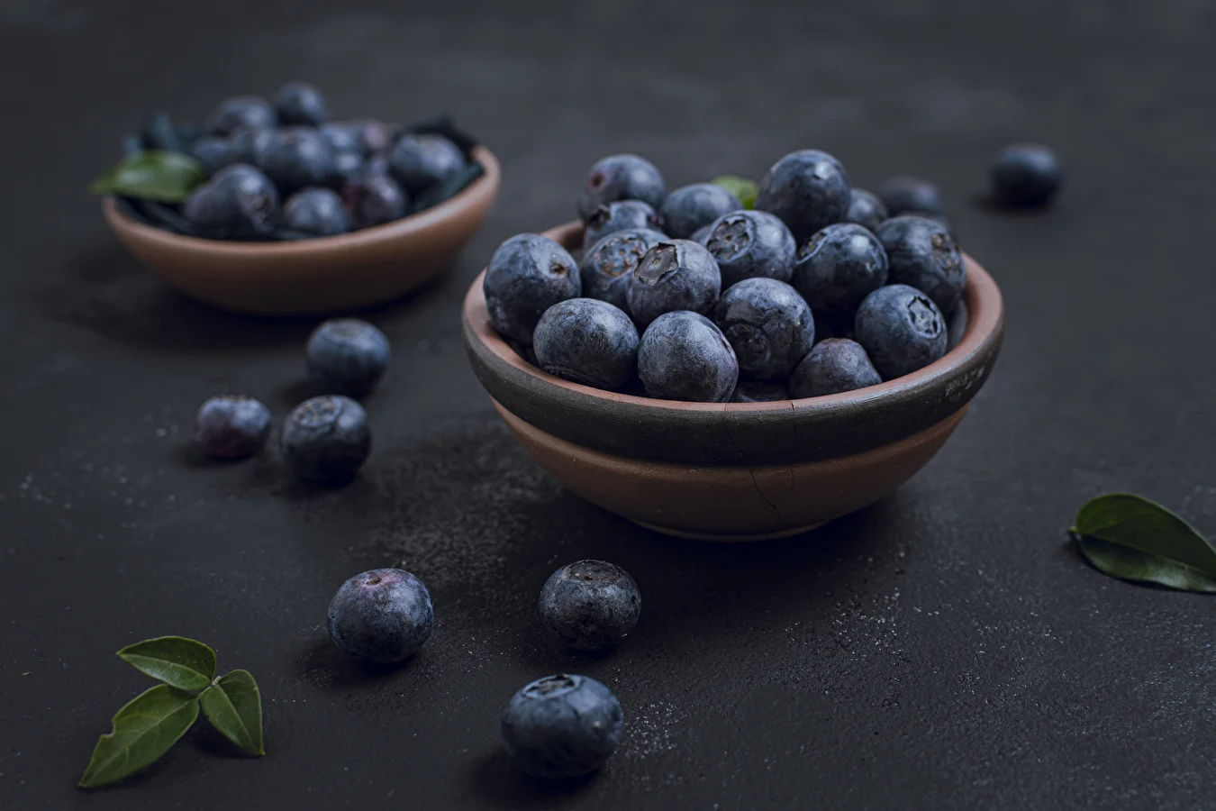 Blueberries in Juice