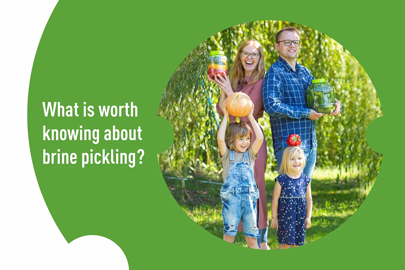 Brine pickled vegetables and more – what is worth knowing about brine pickling?